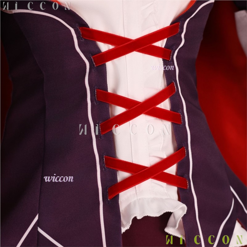 Halloween Erwachsene Cos Re Le – Re Zero Rem Wig Bewertung und Preis