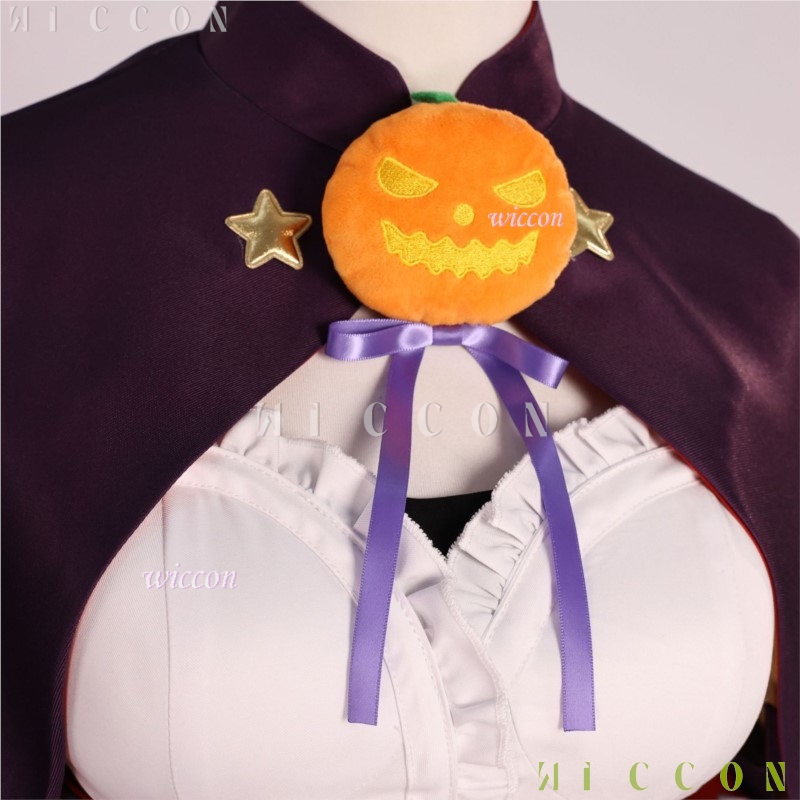 Halloween Erwachsene Cos Re Le – Re Zero Rem Wig Bewertung und Preis